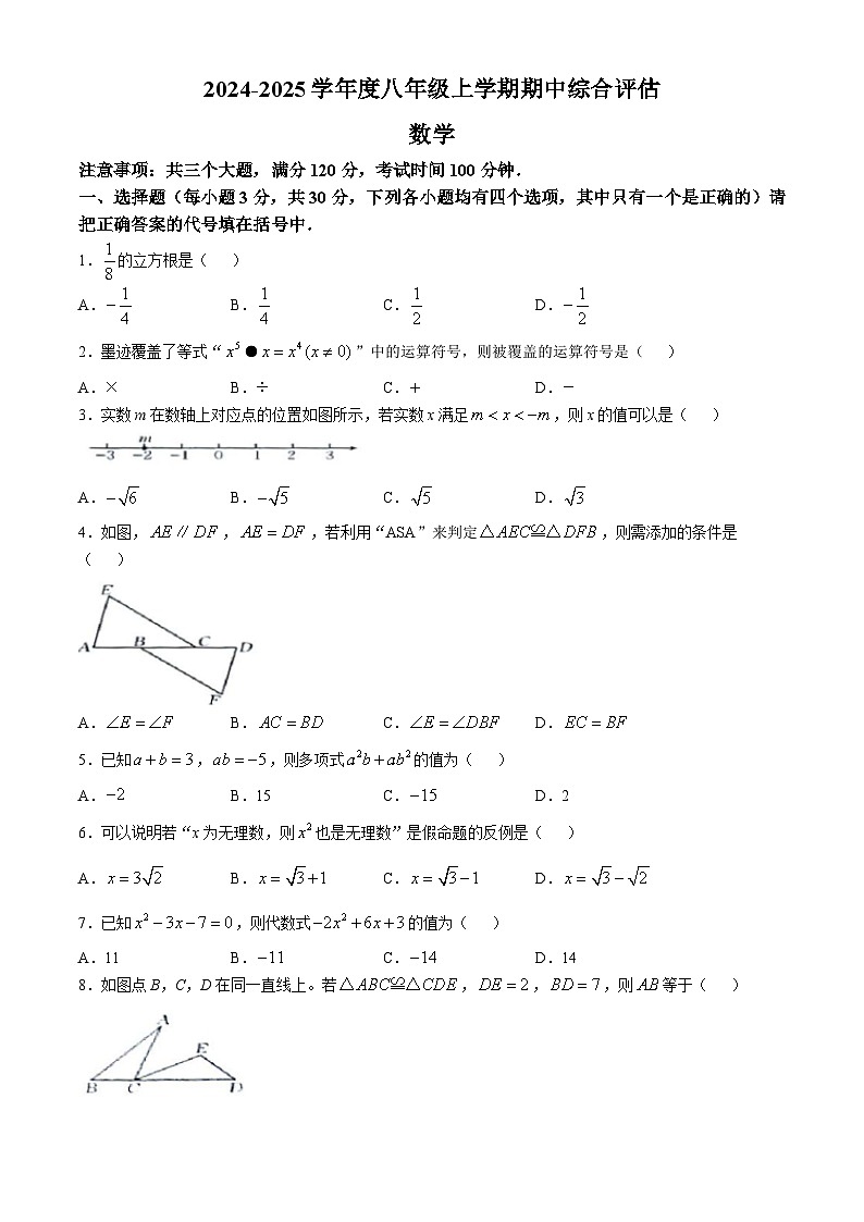 河南省周口市商水县2024-2025学年八年级上学期11月期中考试数学试题第1页