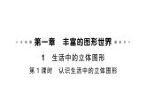 初中数学新北师大版七年级上册1.1第1课时 认识生活中的立体图形作业课件2024秋
