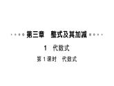 初中数学新北师大版七年级上册3.1第1课时 代数式作业课件2024秋