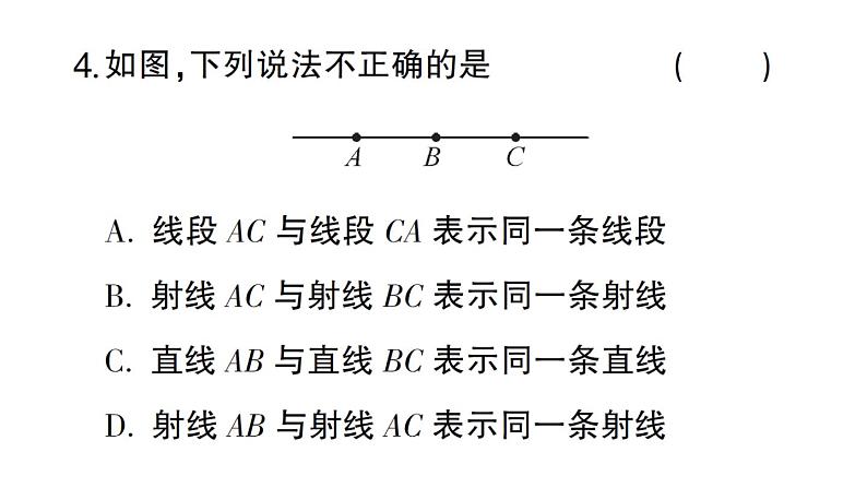 初中数学新北师大版七年级上册4.1第1课时 线段、射线、直线作业课件2024秋05