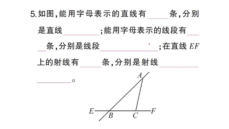 初中数学新北师大版七年级上册4.1第1课时 线段、射线、直线作业课件2024秋06