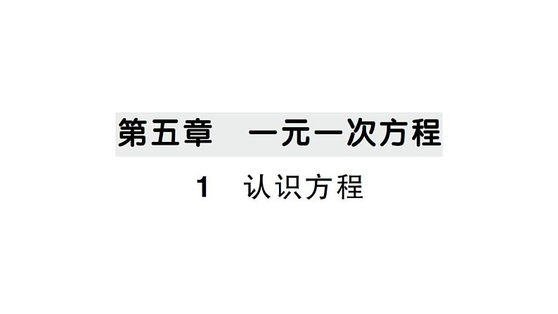 初中数学新北师大版七年级上册5.1 认识方程作业课件2024秋第1页