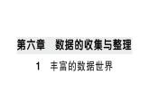 初中数学新北师大版七年级上册6.1 丰富的数据世界作业课件2024秋