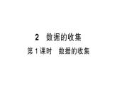 初中数学新北师大版七年级上册6.2第1课时 数据的收集作业课件2024秋
