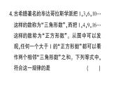 初中数学新北师大版七年级上册期末专练七 规律探究题检测课件2024秋