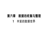 初中数学新北师大版七年级上册6.1 丰富的数据世界课堂作业课件2024秋