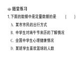 初中数学新北师大版七年级上册6.1 丰富的数据世界课堂作业课件2024秋