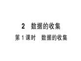 初中数学新北师大版七年级上册6.2第1课时 数据的收集课堂作业课件2024秋