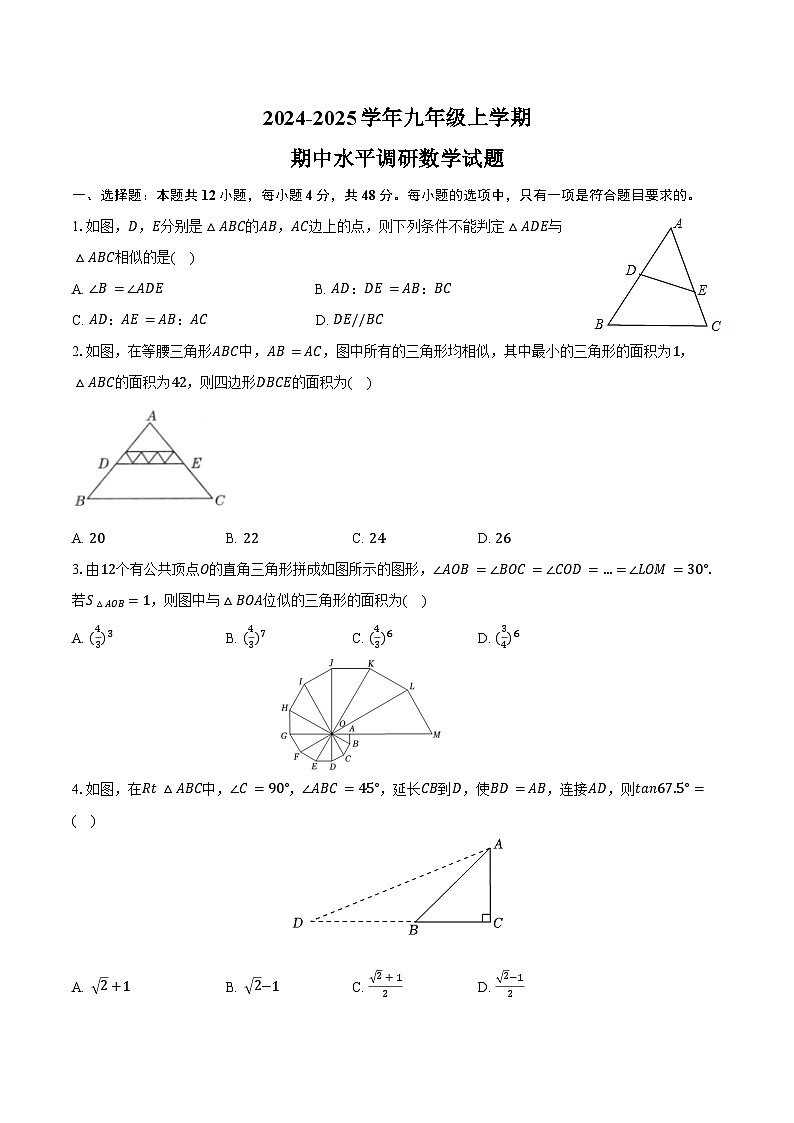 山东省聊城市莘县四校联考2024-2025学年九年级上学期11月期中数学试题01