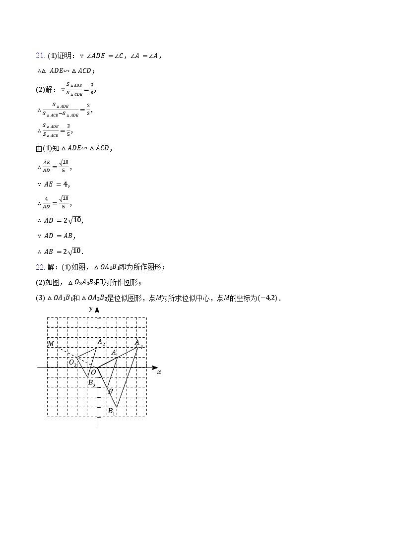 山东省聊城市莘县四校联考2024-2025学年九年级上学期11月期中数学试题02