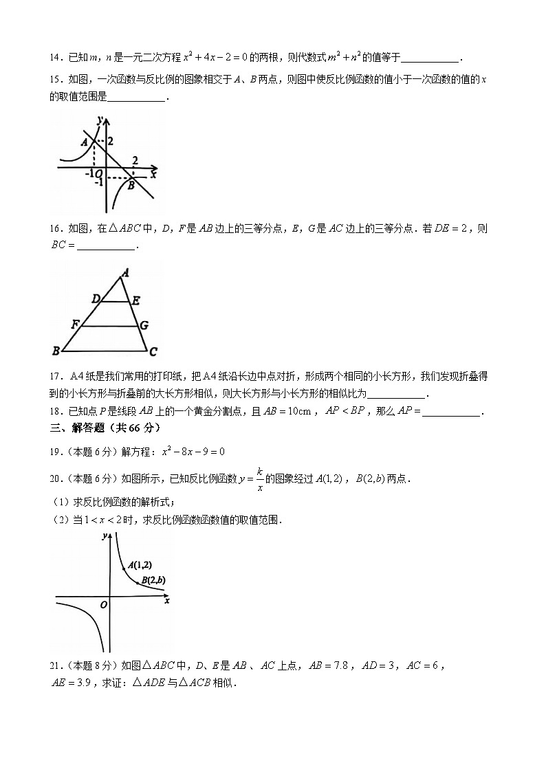 湖南省永州市宁远县2024-2025学年九年级上学期11月期中考试数学试题(无答案)第3页