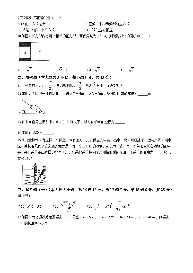 广东省清远市英德市2024-2025学年八年级上学期11月期中考试数学试题(无答案)02