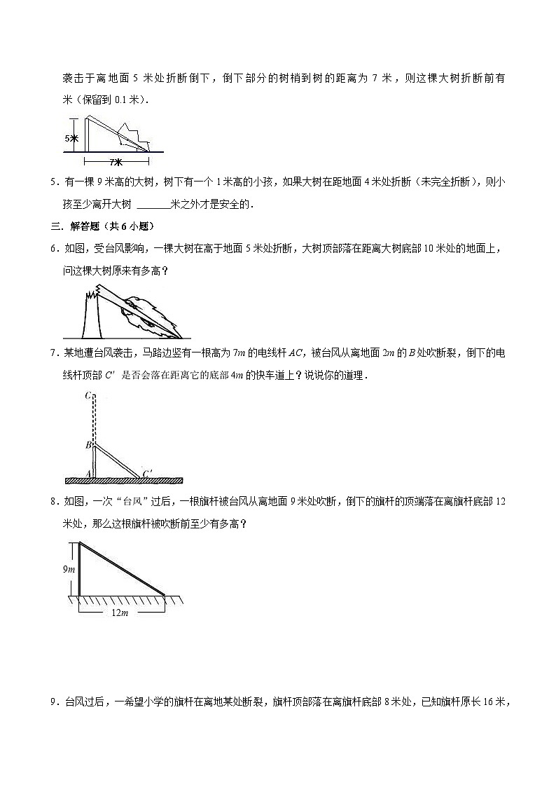 重难点04勾股定理之“风吹树折”模型（原卷版）第2页