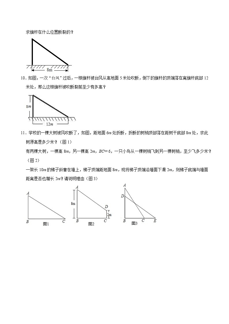 重难点04勾股定理之“风吹树折”模型（原卷版）第3页