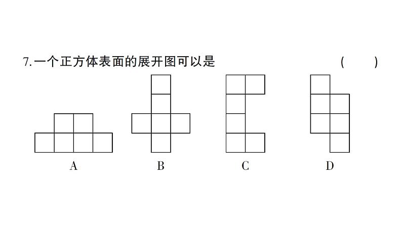 初中数学新北师大版七年级上册第一章 丰富的图形世界综合训练课件2024秋08