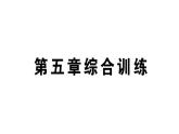 初中数学新北师大版七年级上册第五章 一元一次方程综合训练课件2024秋