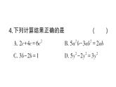 初中数学新北师大版七年级上册第三章 整式及其加减检测课件2024秋