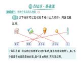 初中数学新北师大版七年级上册1.1第1课时 认识生活中的立体图形作业课件2024秋季学期