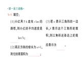 初中数学新北师大版七年级上册3.1第1课时 代数式作业课件2024秋季学期
