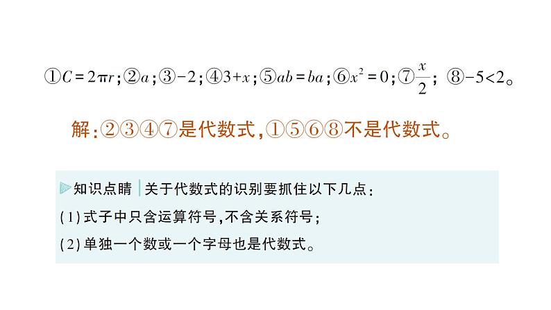 初中数学新北师大版七年级上册3.1第1课时 代数式作业课件2024秋季学期第6页