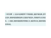 初中数学新北师大版七年级上册4.1第1课时 线段、射线、直线作业课件2024秋季学期