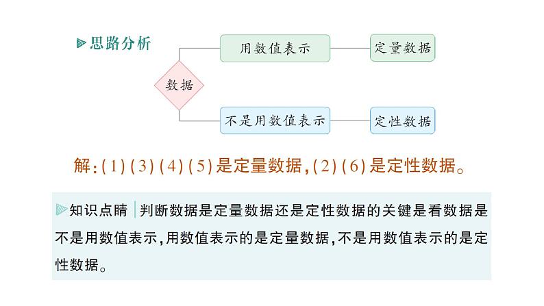 初中数学新北师大版七年级上册6.1 丰富的数据世界作业课件2024秋季学期第3页