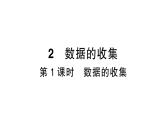 初中数学新北师大版七年级上册6.2第1课时 数据的收集作业课件2024秋季学期