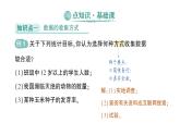 初中数学新北师大版七年级上册6.2第1课时 数据的收集作业课件2024秋季学期