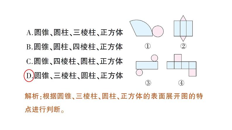 初中数学新北师大版七年级上册1.2第2课时 棱柱、圆柱、圆锥的展开与折叠作业课件2024秋季学期第3页