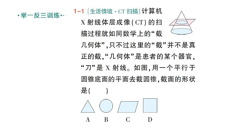 初中数学新北师大版七年级上册1.2第3课时 截一个几何体作业课件2024秋季学期第4页