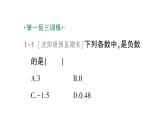 初中数学新北师大版七年级上册2.1第1课时 有理数作业课件2024秋季学期