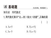 初中数学新华东师大版七年级上册2.1.3 列代数式作业课件2024秋