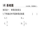 初中数学新华东师大版七年级上册2.3.1 单项式作业课件2024秋