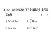初中数学新华东师大版七年级上册2.4.1 同类项作业课件2024秋