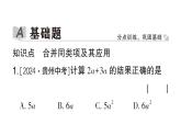 初中数学新华东师大版七年级上册2.4.2 合并同类项作业课件2024秋