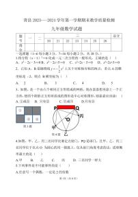 2023-2024学年河北省沧州市青县九年级（上）期末数学试卷