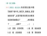 初中数学新北师大版七年级上册1.1第2课时 立体图形的构成作业课件2024秋季学期