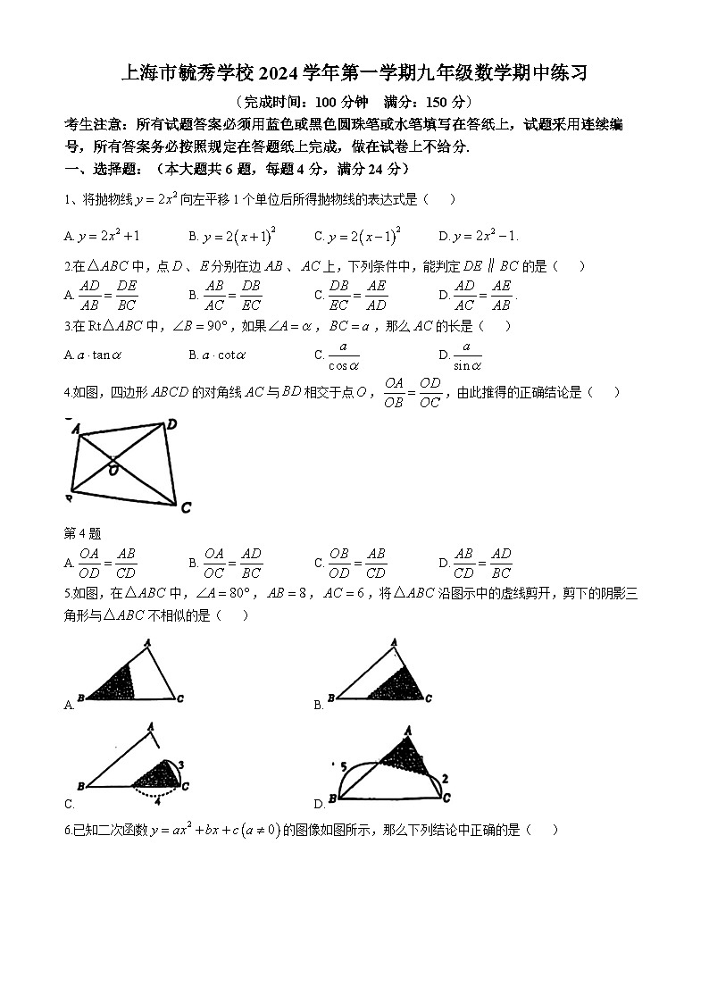 上海市青浦区毓秀学校2024-2025学年九年级上学期期中数学试题(无答案)第1页