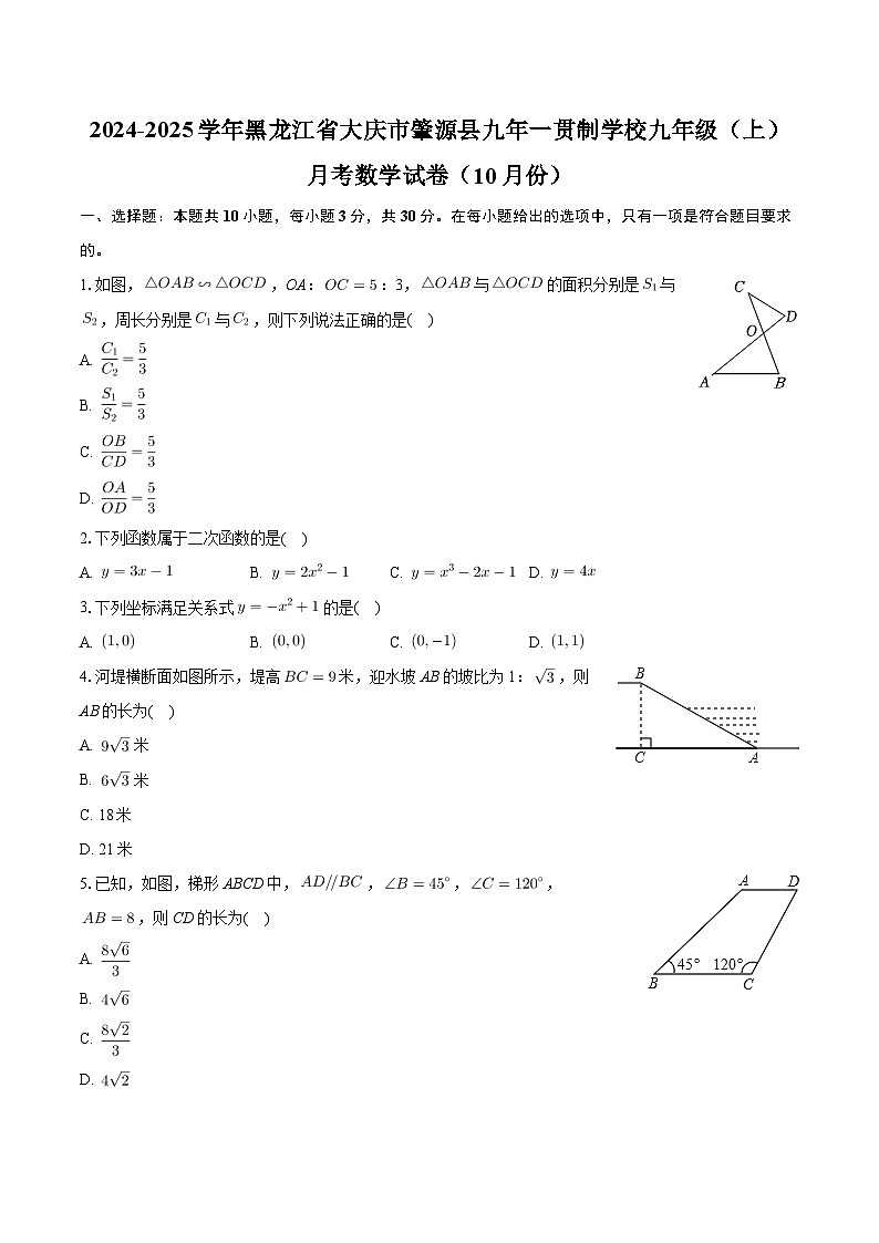 黑龙江省大庆市肇源县九年一贯制学校2024-2025学年九年级上学期月考数学试卷（10月份）第1页