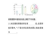 初中数学新北师大版七年级上册6.3专题四 统计图的综合运用作业课件2024秋季学期