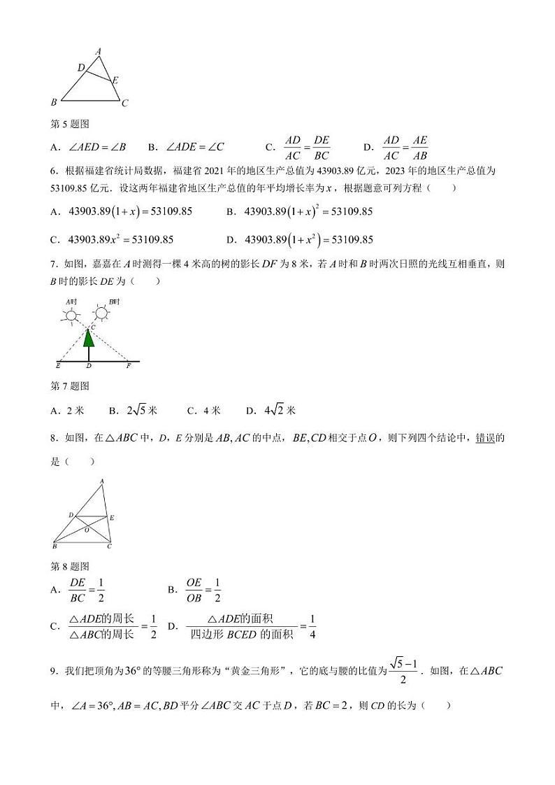 福建泉州惠南中学2024年九年级上学期期中考试数学试卷+答案02