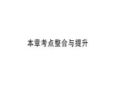 初中數(shù)學新華東師大版七年級上冊第1章 有理數(shù)考點整合與提升作業(yè)課件2024秋