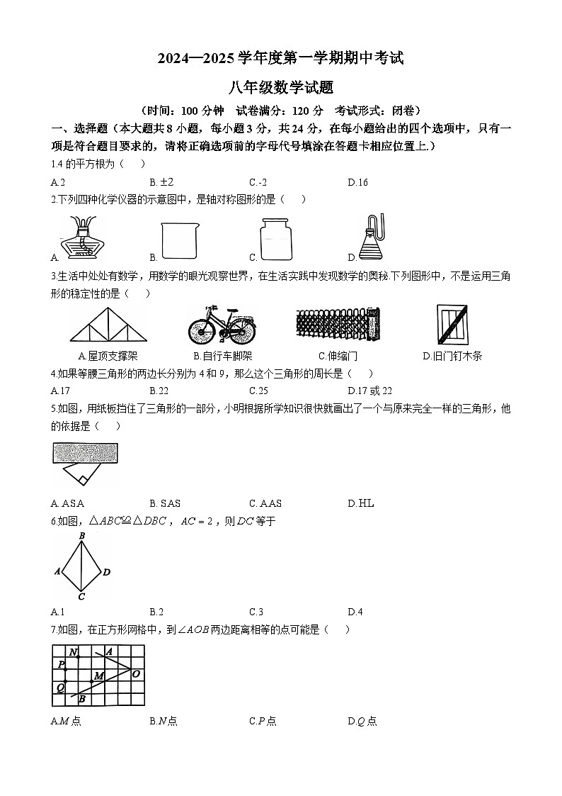 江苏省盐城市滨海县2024-2025学年八年级上学期11月期中考试数学试题(无答案)第1页