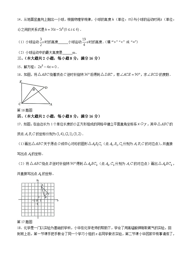 安徽省芜湖市无为市 2024-2025学年九年级上学期11月期中数学试题第3页