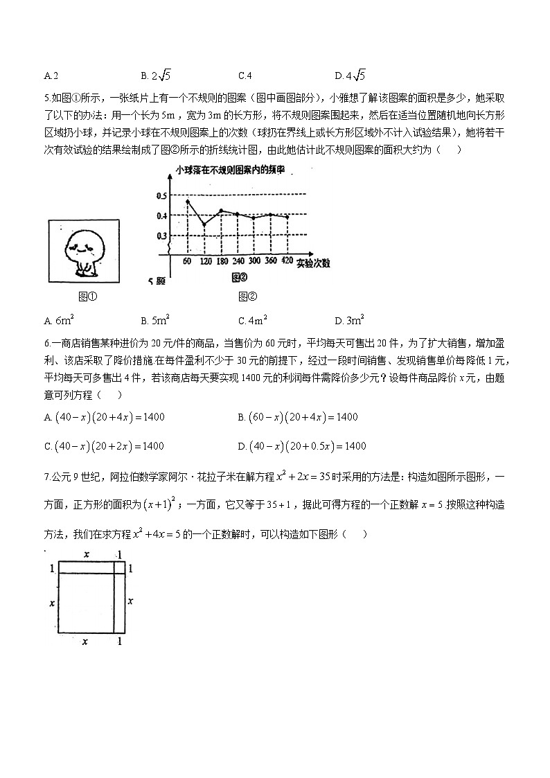 广东省深圳市龙华区新华中学2024-2025学年九年级上学期期中考试数学试卷(无答案)02