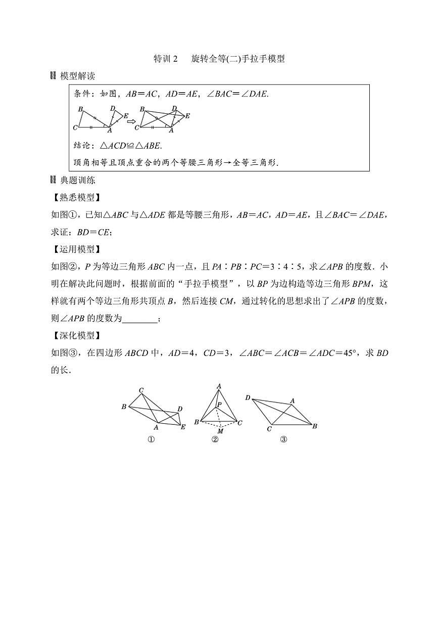 2025年中考数学二轮专题复习～专题一　全等模型高效拆分特训（含答案）第2页