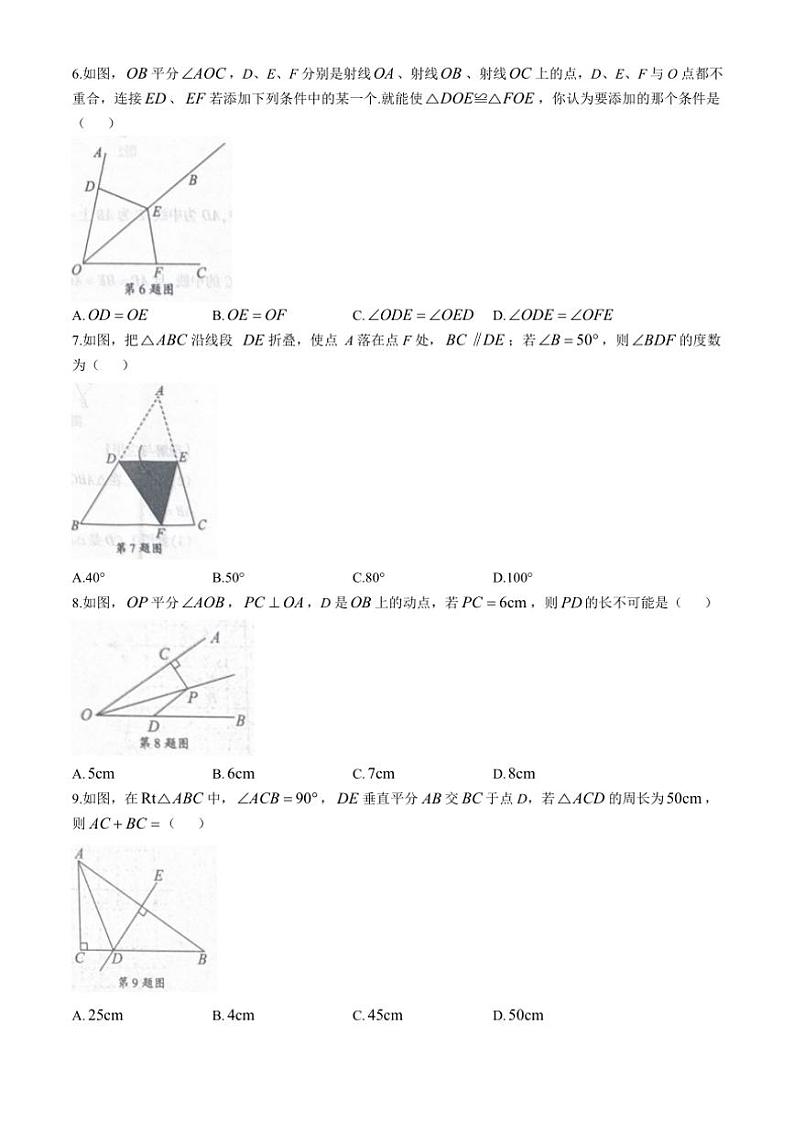 河南省商丘市夏邑县2024～2025学年八年级(上)期中数学试卷(含答案)第2页