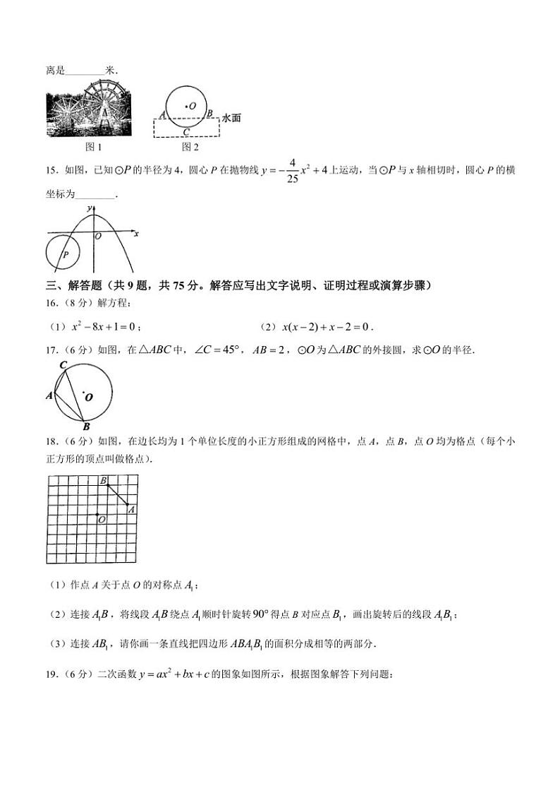 湖北省荆楚联盟2024～2025学年九年级(上)期中数学试卷(含答案)第3页