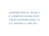 初中數(shù)學(xué)新北師大版七年級上冊第四章 基本平面圖形易錯易混專項講練作業(yè)課件2024秋季學(xué)期