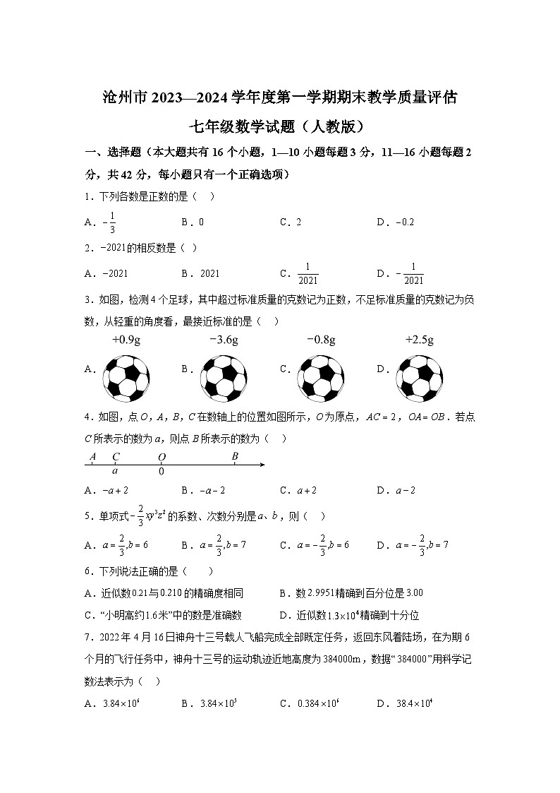河北省沧州市2023-2024学年七年级上学期期末数学试题(含解析)第1页
